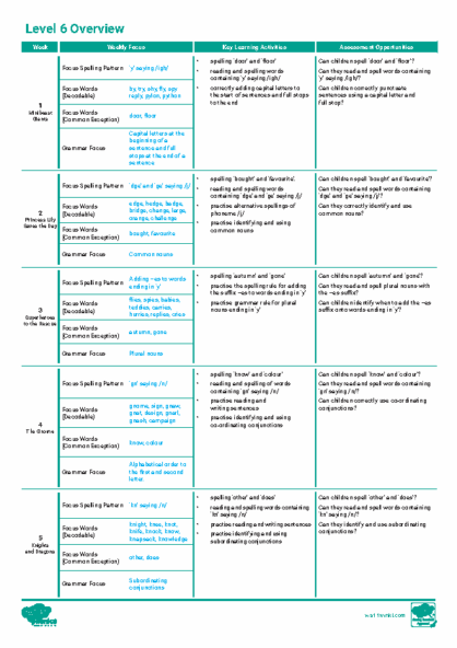 Level 6 Overview